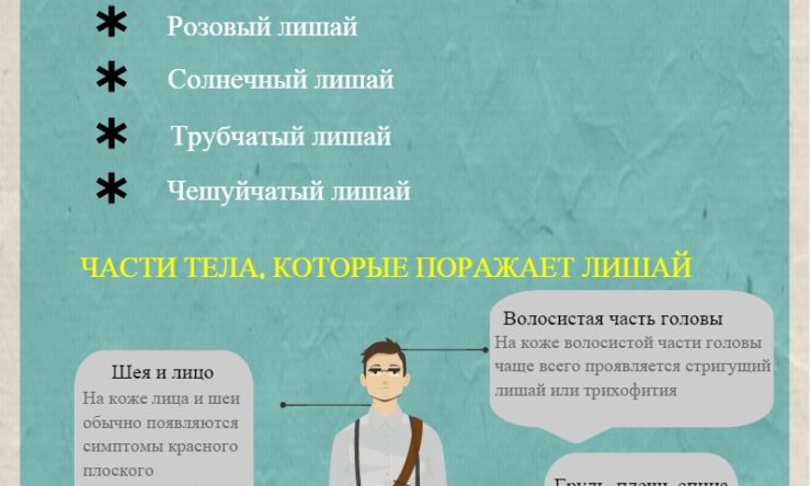 Как передается и лечится лишай?